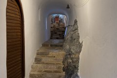 IMG_4141_2025