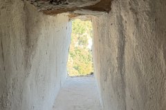 IMG_4142_2025