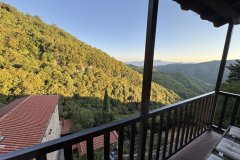 IMG_4155_2025