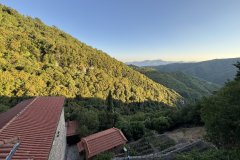 IMG_4158_2025