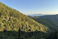 IMG_4159_2025