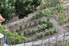 IMG_4162_2025