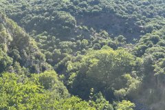 IMG_3763_2025