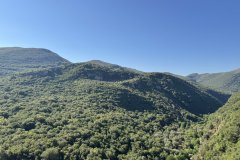 IMG_3767_2025