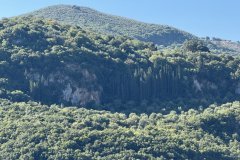IMG_3768_2025