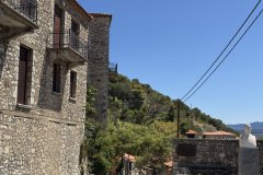 IMG_3808_2025