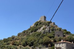 IMG_3809_2025