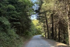 Λιμποβίσι Αρκαδίας 2024 – Φωτογραφίες