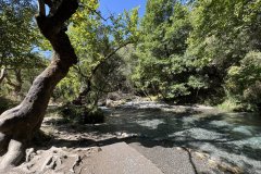 IMG_3916_2025