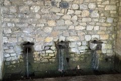 IMG_3671_2025