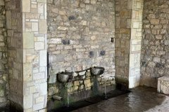 IMG_3672_2025