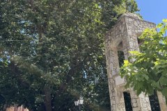 IMG_3675_2025