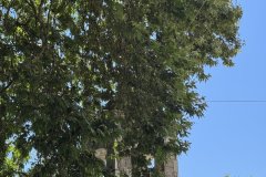 IMG_3683_2025