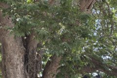 IMG_3686_2025
