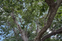 IMG_3693_2025