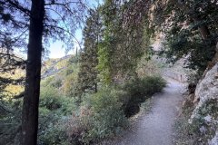 IMG_3842_2025