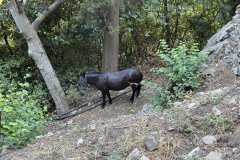 IMG_3847_2025