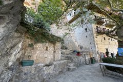 IMG_3855_2025