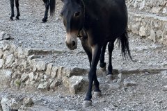 IMG_3886_2025