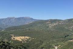 IMG_3903_2025