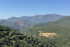 IMG_3904_2025