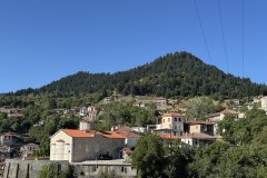 IMG_3640_2025