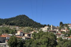 IMG_3641_2025