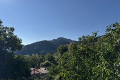 IMG_3642_2025