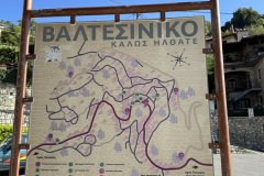 IMG_3650_2025