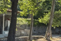 IMG_3840_2025