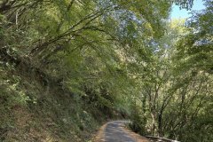 IMG_3720_2025