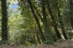IMG_3722_2025