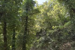 IMG_3723_2025