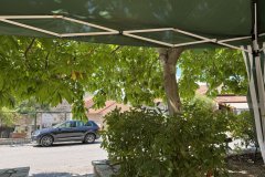 IMG_3731_2025