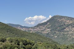 IMG_3818_2025