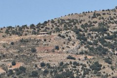 IMG_3822_2025
