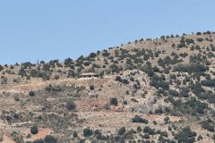 IMG_3823_2025