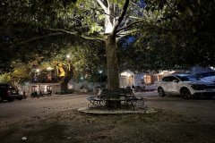 IMG_3587_2025