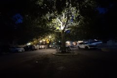 IMG_3588_2025