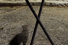 IMG_3735_2025