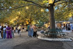 IMG_3931_2025